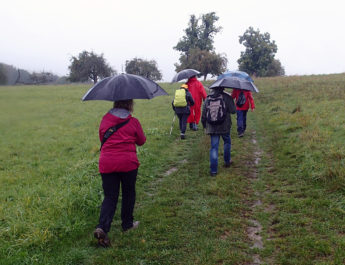 Auch der Regen konnte die Wanderer der TSG Irlich nicht von der traditionellen Herbstwanderung abhalten.